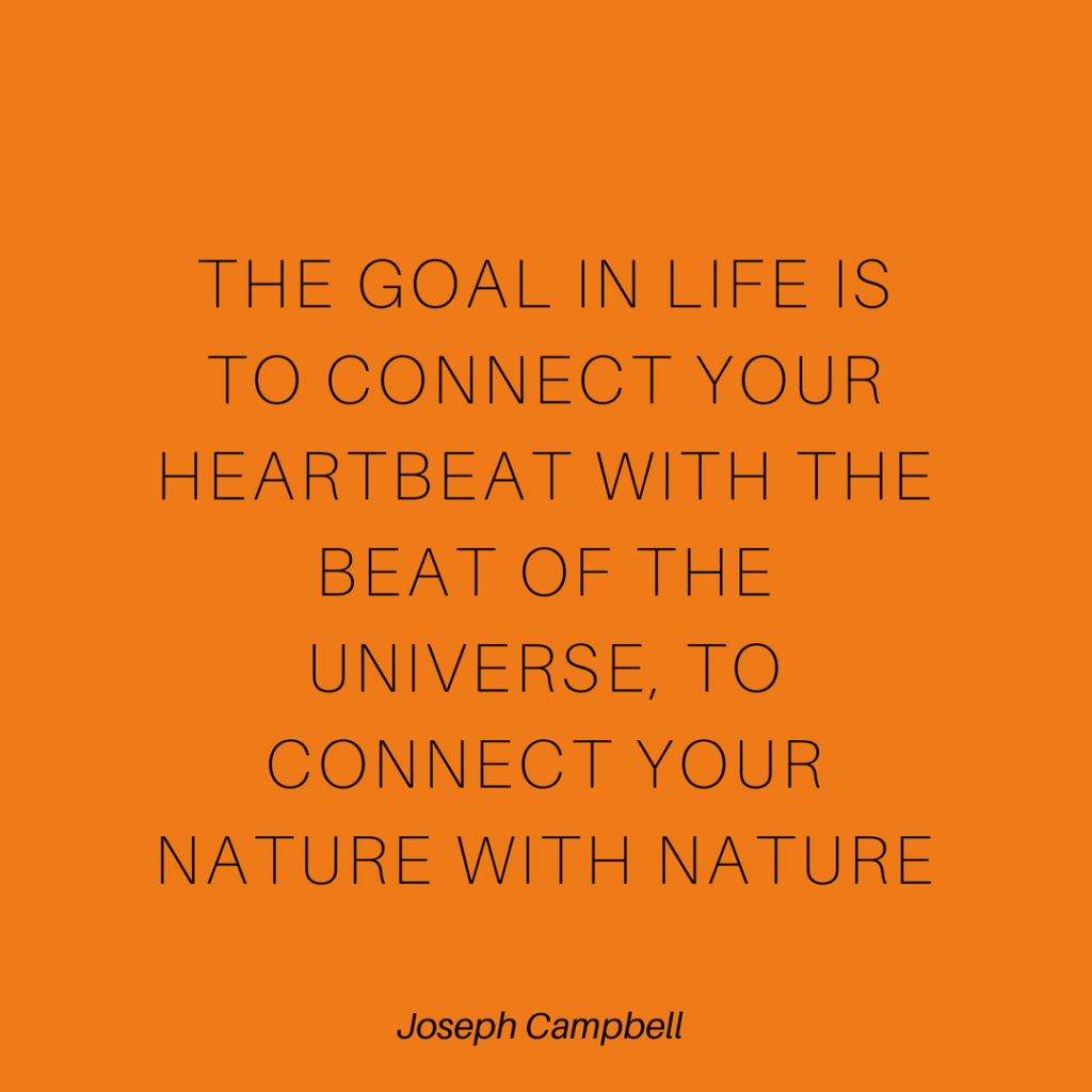 De Reis van de Held - Joseph Campbell